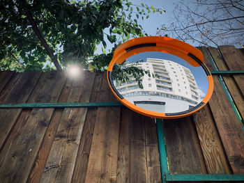 Low angle view of plants in yard against sky