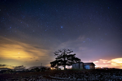 Scenic view of tree against sky at night