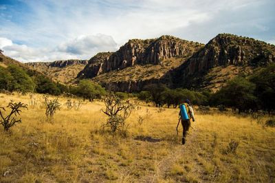 Rear view of person walking against mountain