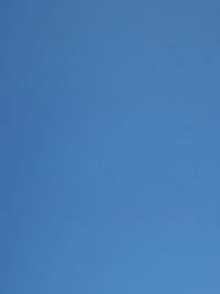 Low angle view of tree against clear blue sky