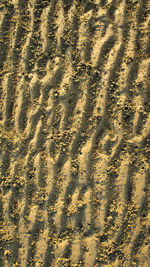 High angle view of footprints on sand at beach