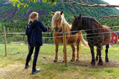 Rear view of horse standing on field