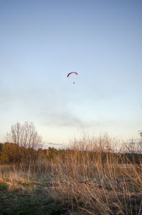 People paragliding in sky