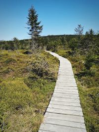 Footpath amidst grass against clear sky