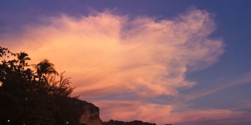 Low angle view of silhouette trees against sky at sunset