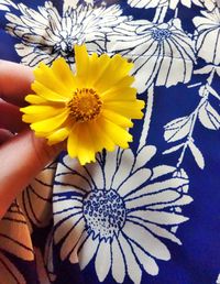 Close-up of hand holding yellow flower