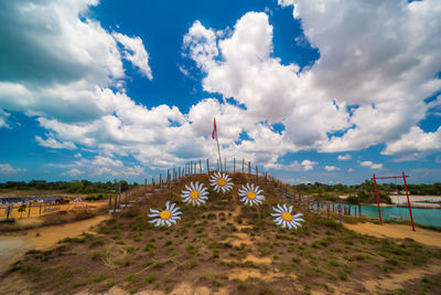 Scenic view of flowering plants on land against sky