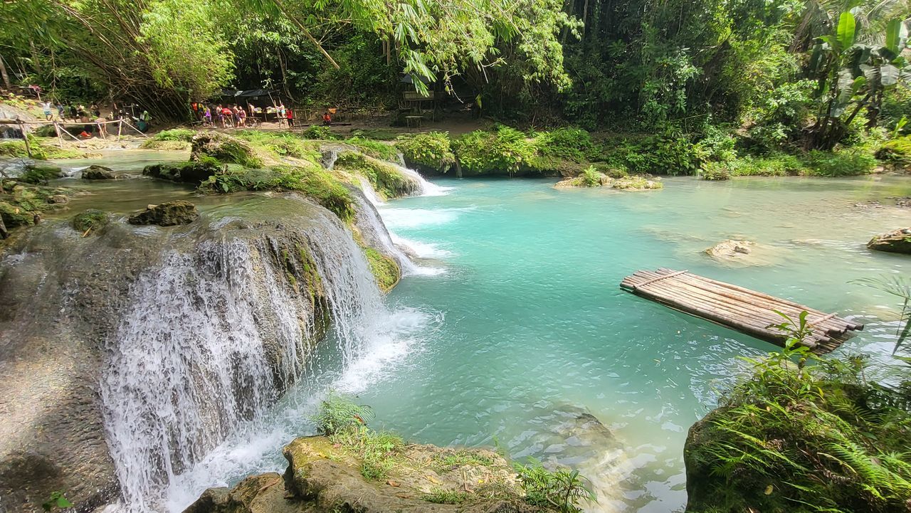 water, plant, body of water, tree, beauty in nature, nature, scenics - nature, river, watercourse, stream, growth, day, land, green, forest, tranquility, rapid, no people, rock, tranquil scene, waterfall, flowing water, outdoors, motion, non-urban scene, idyllic, water feature, jungle, high angle view, rainforest, environment, creek, sunlight