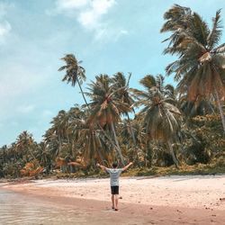 Rear view of person standing by palm trees on beach against sky