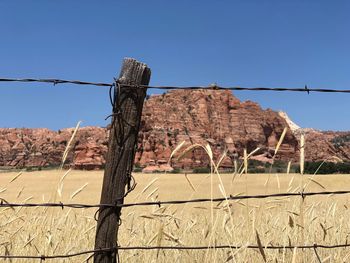 Red rocks, golden field, wood fence