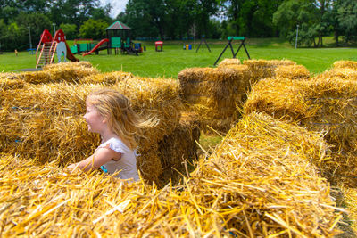 Rear view of woman sitting on hay