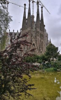 Trees and temple against sky