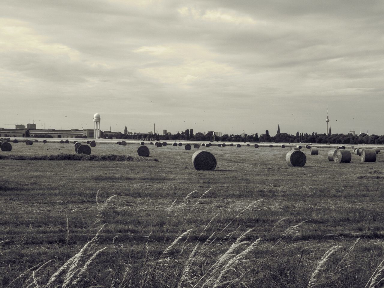 field, sky, landscape, rural scene, agriculture, farm, cloud - sky, grass, tranquil scene, tranquility, bale, nature, fuel and power generation, hay, cloud, cloudy, day, scenics, no people, outdoors