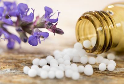 Close-up of purple flowering plants in glass jar on table