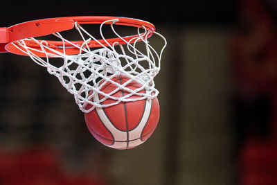 Close-up of basketball hoop