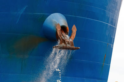 Close-up of fish underwater