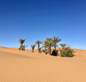 Scenic view of desert against clear blue sky