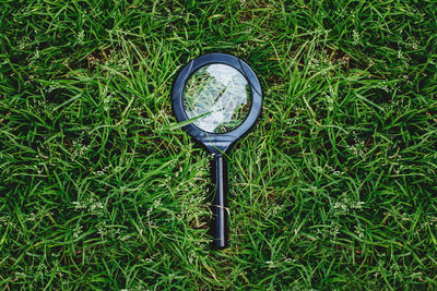 Closeup macro of magnifying glass loupe lying in green summer grass. view from top above