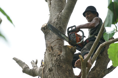 Low angle view of man against tree against sky