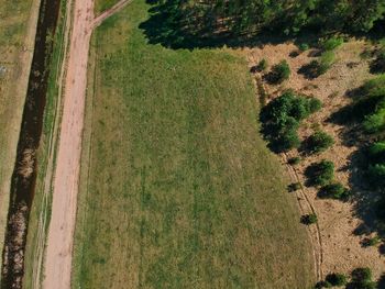 High angle view of field