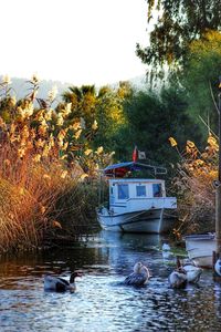 Boats in lake