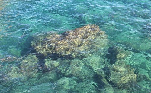 High angle view of sea