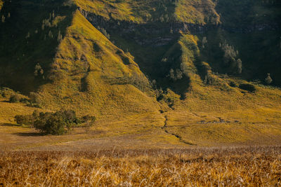 Scenic view of land on mountain