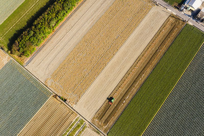 Aerial view of agricultural field