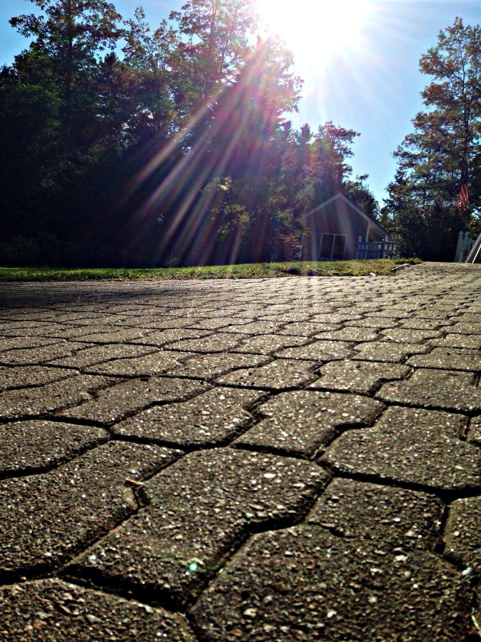 sunlight, sunbeam, sun, tree, building exterior, lens flare, sunny, built structure, shadow, architecture, cobblestone, the way forward, street, footpath, outdoors, day, sidewalk, paving stone, steps, sky