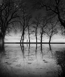 Bare trees by lake against sky during winter