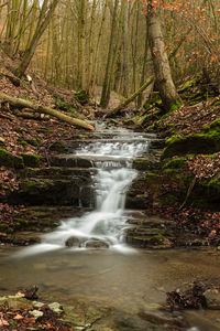 Stream flowing through rocks in forest