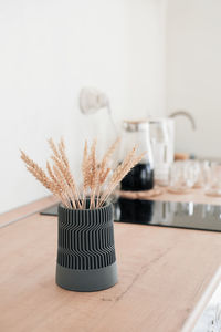 Close-up of potted plant on table against white background