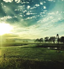 Scenic view of field against sky during sunset