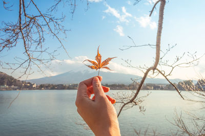 Cropped hand holding maple leaf against sky