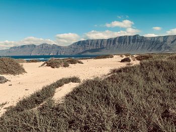 Scenic view of land against sky