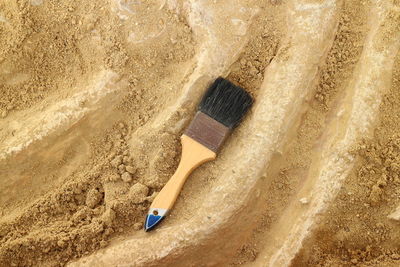 High angle view of paintbrush on dirt road