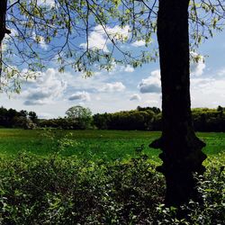 Scenic view of grassy field against cloudy sky