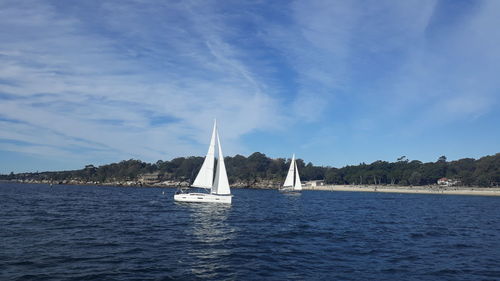 Sailboat sailing on sea against sky