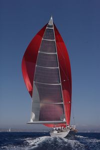 Low angle view of sailboat sailing on sea against clear sky