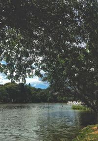 Scenic view of lake in forest against sky