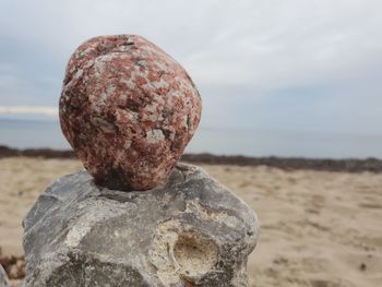 Close-up of pebbles on rock