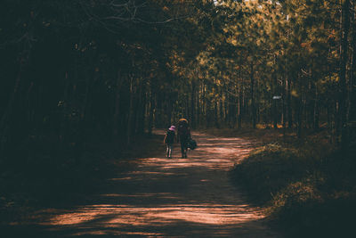 Rear view of woman walking on footpath in forest