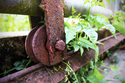 Close-up of rusty metallic train on tracks