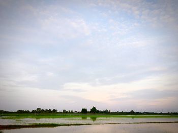 Scenic view of landscape against sky