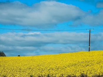 Scenic view of field against cloudy sky