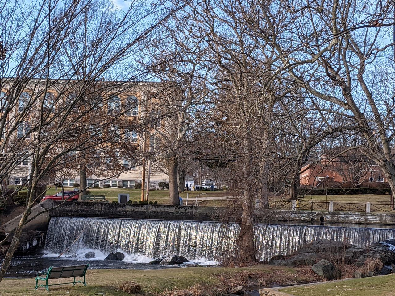 BARE TREES IN PARK