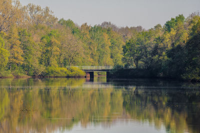 Scenic view of lake by trees against sky