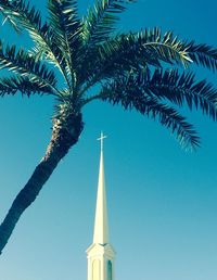 Low angle view of palm trees against blue sky