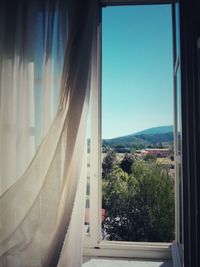 Close-up of trees seen through window