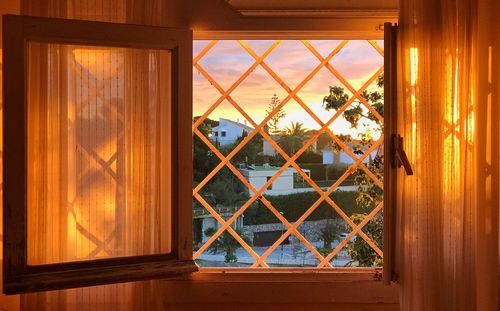 Plants seen through window of house